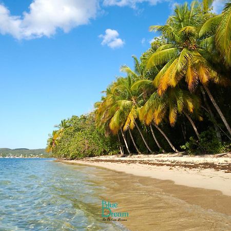 Kawan Nid - Tout Confort, Plage A 2 Min A Pied, Piscine, Wifi, Climatisation Grand-Bourg  Luaran gambar