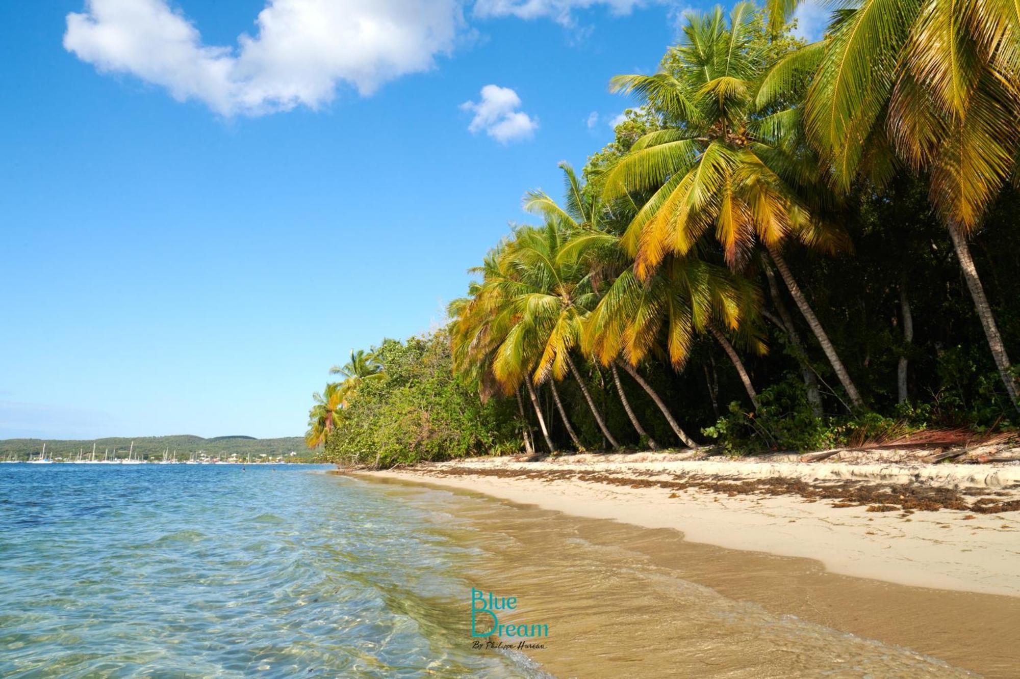 Kawan Nid - Tout Confort, Plage A 2 Min A Pied, Piscine, Wifi, Climatisation Grand-Bourg  Luaran gambar